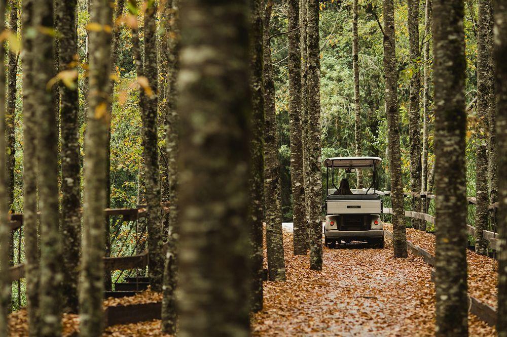 Huilo Huilo Nawelpi Lodge Puerto Fuy Zewnętrze zdjęcie