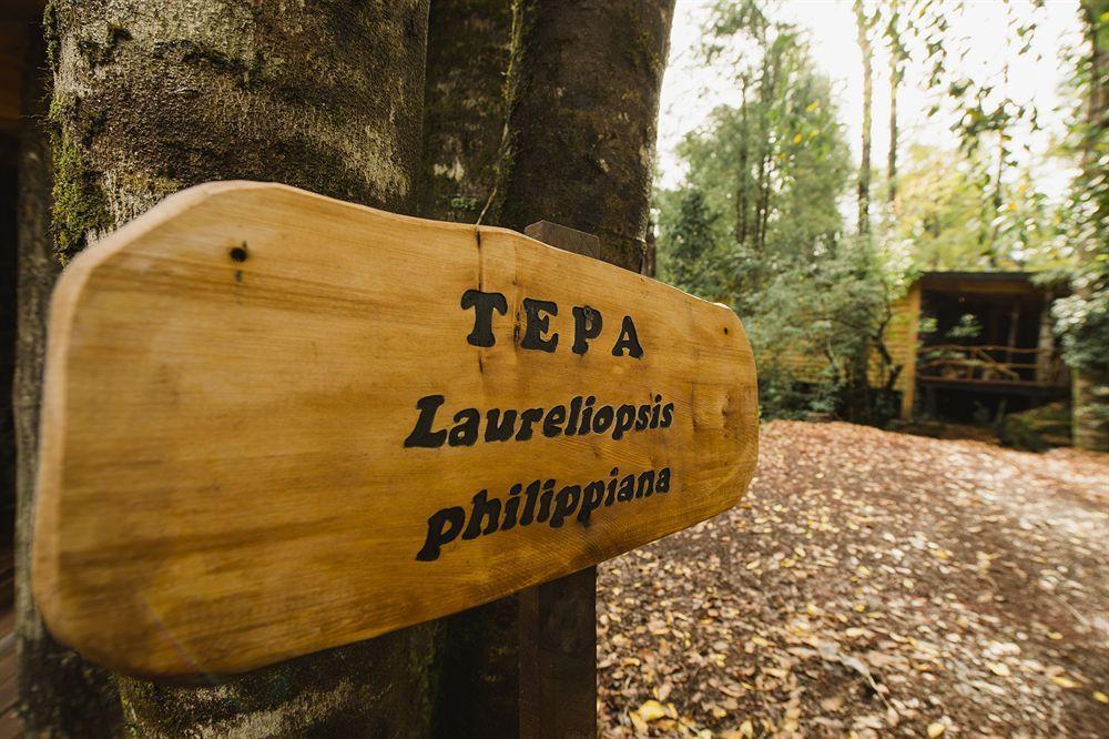 Huilo Huilo Nawelpi Lodge Puerto Fuy Zewnętrze zdjęcie