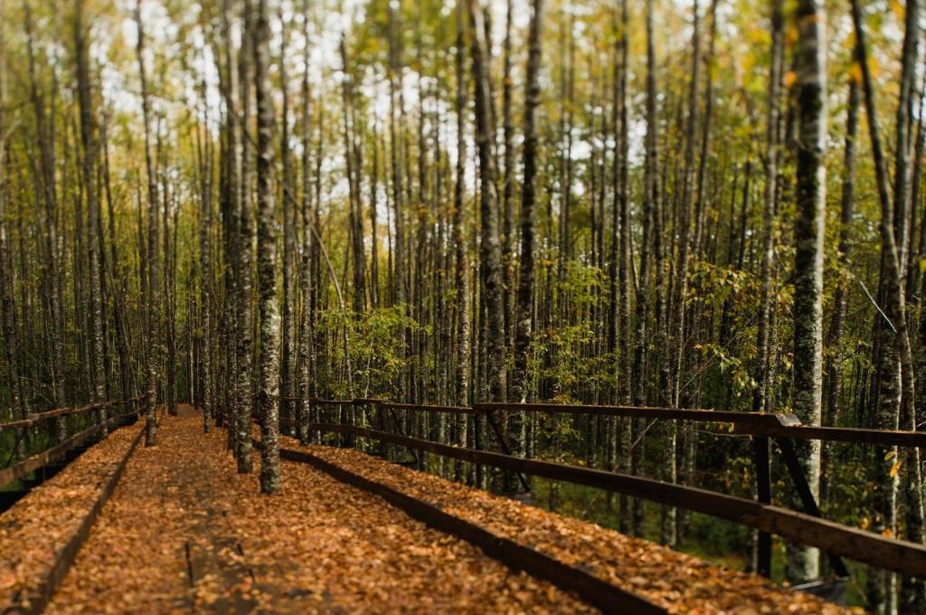 Huilo Huilo Nawelpi Lodge Puerto Fuy Zewnętrze zdjęcie